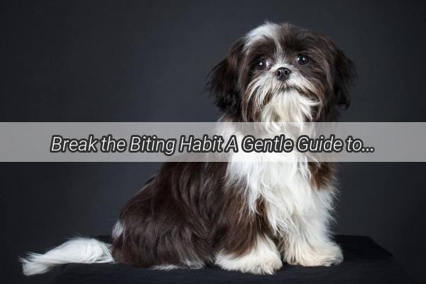 Break the Biting Habit A Gentle Guide to Taming Your Mischievous Pooch